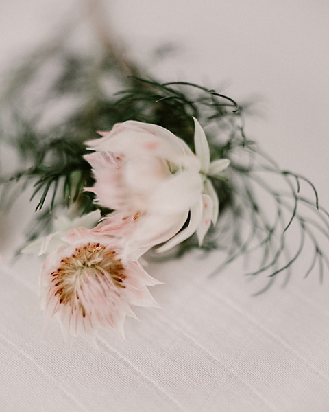 Détails Fleurs Nature morte photographie pour la Boutique P'tit Nous, Nice.
